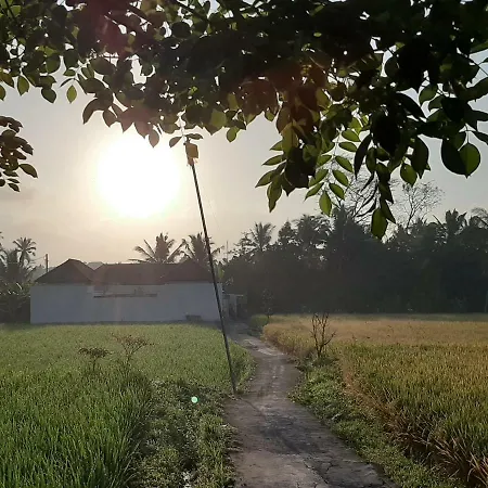 The Satya Villa-2